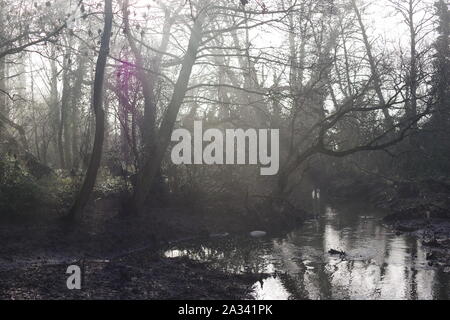 Fluss Exe, Gräfin Wehr Mühle Gewaehrleistung, Laufen durch den Wald auf einem nebligen Wintertag. Exeter, Devon, Großbritannien. Stockfoto