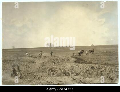 Landwirtschaftliche Arbeiten. Pauls Valley Training Schule. Siehe 4833-4842. Stockfoto