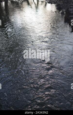 Fluss Exe, Gräfin Wehr Mühle Gewaehrleistung, Laufen durch den Wald auf einem nebligen Wintertag. Exeter, Devon, Großbritannien. Stockfoto