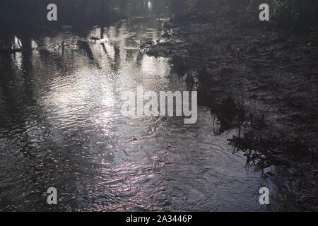 Fluss Exe, Gräfin Wehr Mühle Gewaehrleistung, Laufen durch den Wald auf einem nebligen Wintertag. Exeter, Devon, Großbritannien. Stockfoto