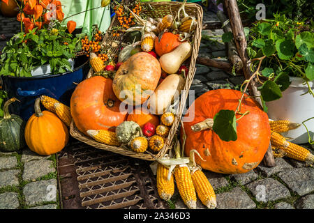 Kürbis Herbst Festival Stockfoto