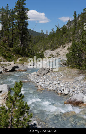 Wild Ice Cold Mountain Brook schwebend zwischen Wald, Steine und Hügel und blauer Himmel im Sommer im Nationalpark im Engadin im Kanton Graubünden in der Schweiz Stockfoto