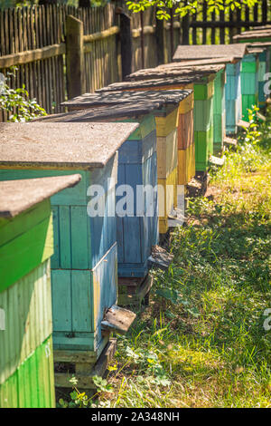Holz- Bienenstöcke im Sommer Garten, Europa Stockfoto
