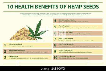 Nutzen für die Gesundheit der Hanf Samen horizontale Infografik Abbildung über Cannabis als pflanzliche Alternative Medizin, Gesundheitswesen und medizinische Wissenschaft Vektor. Stock Vektor
