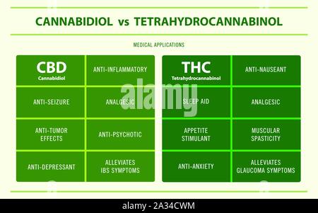 CBD vs THC medizinische Anwendungen horizontale Infografik Abbildung über Cannabis als Medizin, Gesundheitswesen und medizinische Wissenschaft Vektor. Stock Vektor