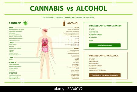 Cannabis vs Alkohol horizontale Infografik Abbildung über Cannabis als pflanzliche Alternative Medizin, Gesundheitswesen und medizinische Wissenschaft Vektor. Stock Vektor