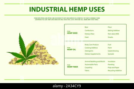 Industrieller Hanf verwendet horizontale Infografik Abbildung über Cannabis als pflanzliche Alternative Medizin, Gesundheitswesen und medizinische Wissenschaft Vektor. Stock Vektor