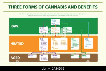 Drei Formen von Cannabis und Vorteile horizontale Infografik Abbildung über Cannabis als Medizin, Gesundheitswesen und medizinische Wissenschaft Vektor. Stock Vektor