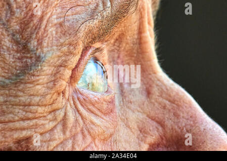 Makro auf eine ältere Frauen Auge in Nahaufnahme Stockfoto