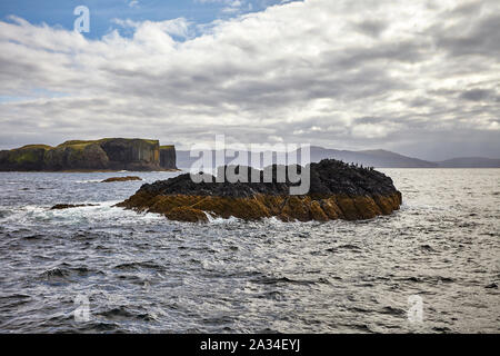 Kleine Insel und Kormorane in der Nähe von Staffa, Mull, Inneren Hebriden, Schottland, Großbritannien Stockfoto