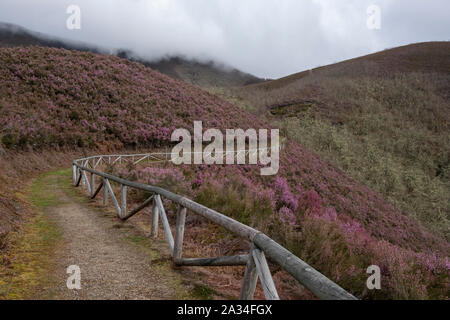 Asturien, Spanien - 19. März 2019: Pfad in der Nähe von Centro de Interpretacion de Muniellos Stockfoto