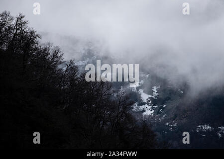 Asturien, Spanien - 19. März 2019: Nebel und Schnee um einen Wald in den Bergen von Asturien Stockfoto