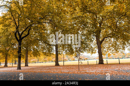 Battersea Park im Herbst und eine der Gassen mit gelben Blätter, London, Vereinigtes Königreich Stockfoto