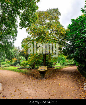 Eingang zum Sub-tropischen Gärten mit verschiedenen exotischen Gärten in Battersea Park, London, England Stockfoto