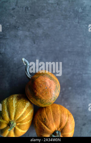 Happy Thanksgiving, Auswahl verschiedener Kürbisse auf grauem Stein, Herbst Gemüse und saisonale Dekorationen, Banner Stockfoto