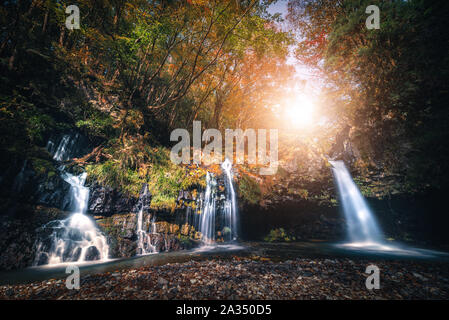 Wasserfall mit Herbstlaub in Fujinomiya, Japan. Stockfoto