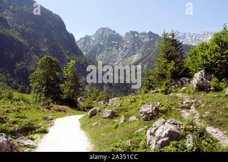 Fußweg in den Alpen Berg. Grüne Wiese. Deutschland Bayern. Sommer Landschaft Stockfoto