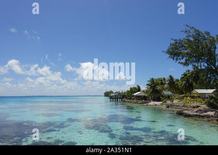 Häuser und Palmen säumen die Küste von einer tropischen Lagune auf der Insel Fakarava in Französisch-Polynesien Stockfoto