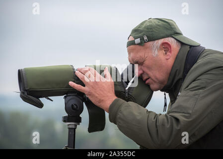 Van. Euro Birdwatch. Tellen Vandaag duizenden vogelaars im Fersenbereich Europa op de trekvogels wanneer Voldoet richting Het zuiden vliegen. Het gaat d Stockfoto