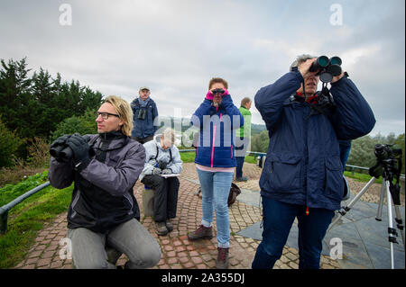 Van. Euro Birdwatch. Tellen Vandaag duizenden vogelaars im Fersenbereich Europa op de trekvogels wanneer Voldoet richting Het zuiden vliegen. Het gaat d Stockfoto