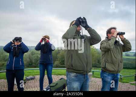 Van. Euro Birdwatch. Tellen Vandaag duizenden vogelaars im Fersenbereich Europa op de trekvogels wanneer Voldoet richting Het zuiden vliegen. Het gaat d Stockfoto