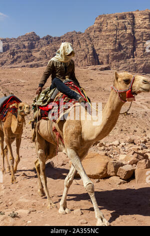 Petra, Jordanien - Sept 21, 2013: Beduinen in der Nähe reiten auf einem Kamel durch die Petra Tal. Auf dem Kamel sind schöne farbige Teppiche Stockfoto