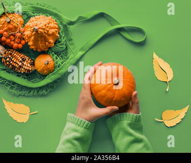 Herbst flach in Grün und Orange mit weiblichen Händen hält Kürbis und string Beutel mit mehr Kürbisse und Maiskolben. Draufsicht auf Lebendige Grün Stockfoto