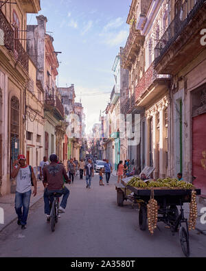 Zwiebeln und Bananen für den Verkauf auf einer Karre in Havanna, Kuba Stockfoto