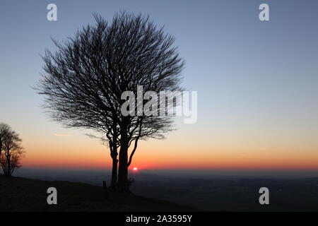 Savanne wie Sky Stockfoto