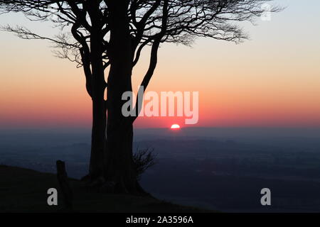 Savanne wie Sky Stockfoto