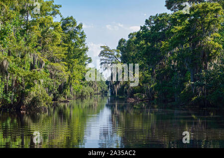 Mississippi River durch die Wälder von Jean Lafitte National Park in der Nähe von New Orleans, Louisiana Stockfoto