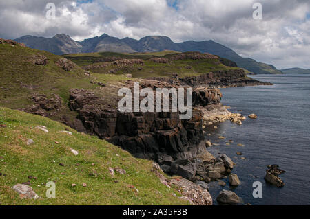 Blick entlang Soay-schafe als Sound aus Rubh' eine Dùnain Richtung Schwarzes Cuillin, Glen Spröde, Isle of Skye, Schottland Stockfoto