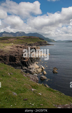 Blick entlang Soay-schafe als Sound aus Rubh' eine Dùnain Richtung Schwarzes Cuillin, Glen Spröde, Isle of Skye, Schottland Stockfoto