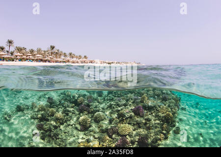 Split shot, Makadi Bay, Ägypten Stockfoto