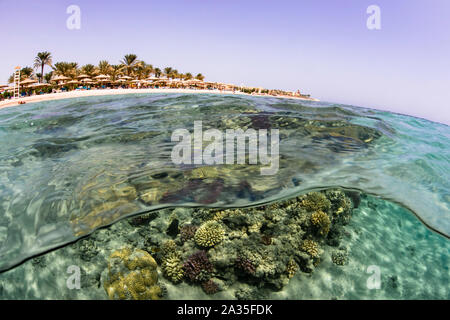 Split shot, Makadi Bay, Ägypten Stockfoto