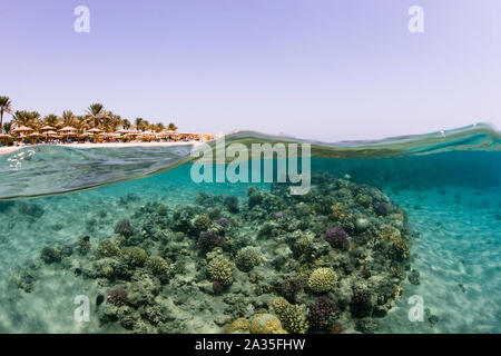 Über/unter Makadi Bay, Ägypten Stockfoto