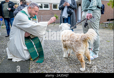 Hamburg, Deutschland. 05 Okt, 2019. Pastor Alexander Görke, katholischer Pfarrer der Kirche in Jenfeld, segnet der Australian Shepherd "Nett". Die Tiere wurden bei einem Gottesdienst in der St. Agnes Kirche gesegnet. Quelle: Axel Heimken/dpa/Alamy leben Nachrichten Stockfoto