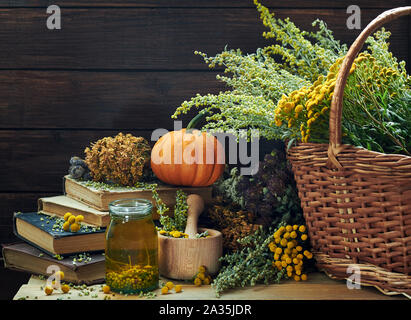 Absinth Absinth Pflanze, Rainfarn, getrocknete Johanniskraut, cllover und mifoil, antike Vintage Books, Mörtel und Tinktur in der Nähe Weidenkorb mit frischen h Stockfoto