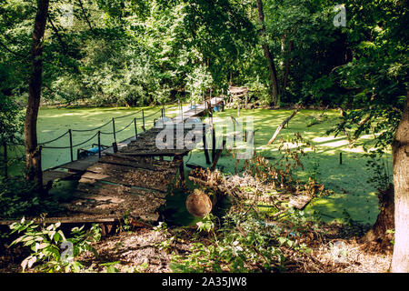 Hölzerne Brücke, die durch den Sumpf Stockfoto