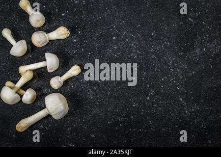 Grenze mit Champignons auf schwarzem Hintergrund Textur mit Platz für Text. Ansicht von oben. Stockfoto