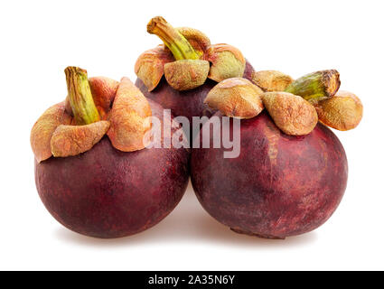 Mangosteen Pfad isoliert auf weißem Stockfoto