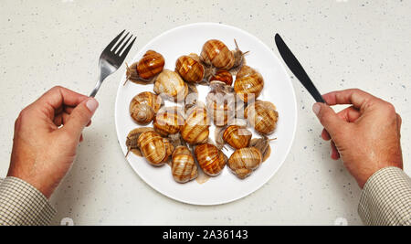 Meeresfrüchte auf weiße Platte für das Kochen und die Hände von Chef Stockfoto
