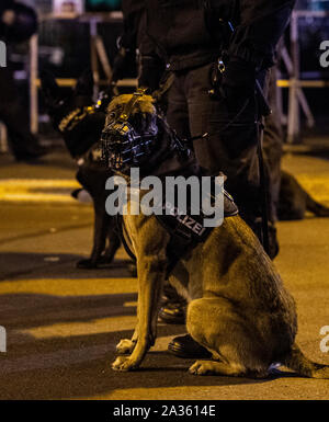 Berlin, Deutschland. 05 Okt, 2019. Polizisten mit Hunden Gesicht Demonstranten nicht weit von Rigaer Straße gegen eine Veranstaltung der rechtsextremen Vereinigung Pegida aus München protestieren. Credit: Paul Zinken/dpa/Alamy leben Nachrichten Stockfoto