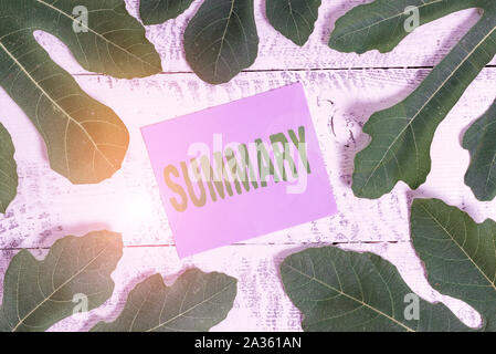 Handschrift Text schreiben Zusammenfassung. Konzeptionelle Foto eine kurze Erklärung oder ein Konto der wesentlichen Punkte der etwas Stockfoto