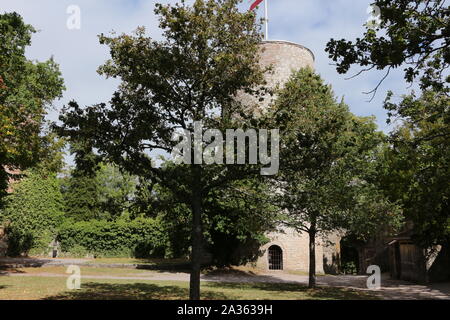 Blick auf sterben Hohennagold Höhenburg oberhalb der Stadt Nagold im Schwarzwald Stockfoto