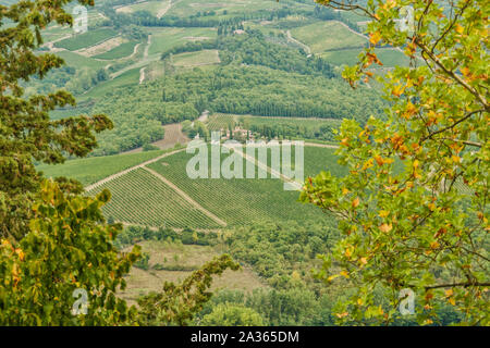 Panoramablick auf die wunderschöne Aussicht von Wohngebieten Radda in Chianti und Weinbergen und Olivenbäumen im Chianti, Toskana, Italien Stockfoto