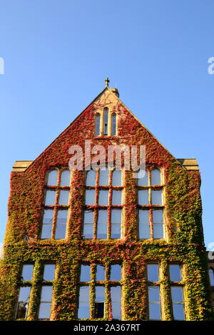 Alte Efeu bedeckt Gebäude in der Bildmitte an der Universität von Manchester, Manchester, UK Stockfoto