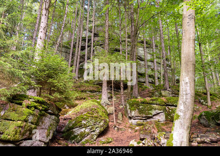 Die riesigen Felsen in einem Wald von Riesengebirge in der Nähe von Szklarska Poreba, Polen Stockfoto