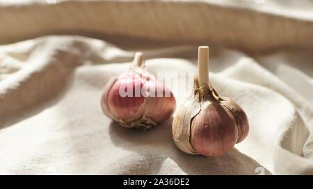 Zwei Knoblauch Zwiebeln auf einem vintage Leinen Tischdecke Stockfoto