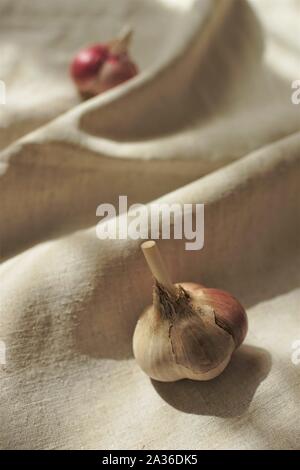 Zwei Knoblauch Zwiebeln auf ein Bettwäsche Tischdecke Stockfoto